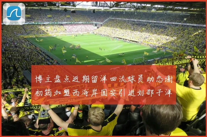 博主盘点近期留洋回流球员动态谢初筠加盟西海岸国安引进刘邵子洋