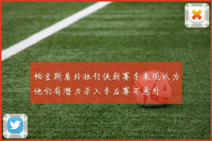 帕金斯看好独行侠新赛季表现认为他们有潜力杀入季后赛不意外