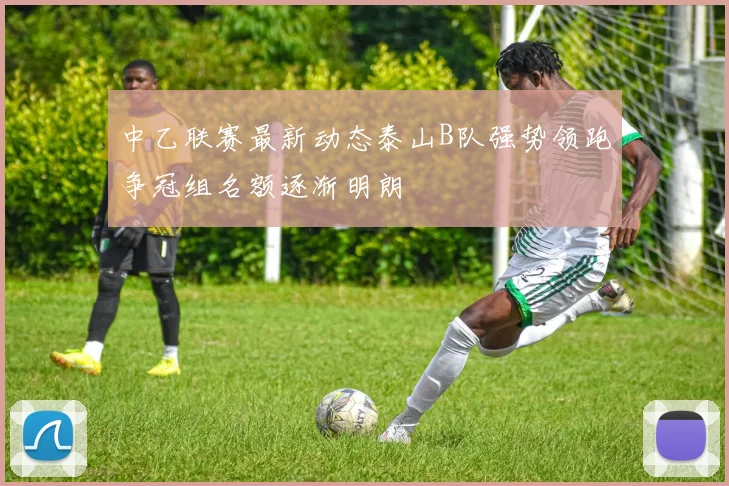 中乙联赛最新动态泰山B队强势领跑争冠组名额逐渐明朗