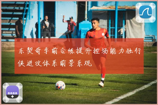 东契奇季前合练提升控场能力独行侠进攻体系前景乐观