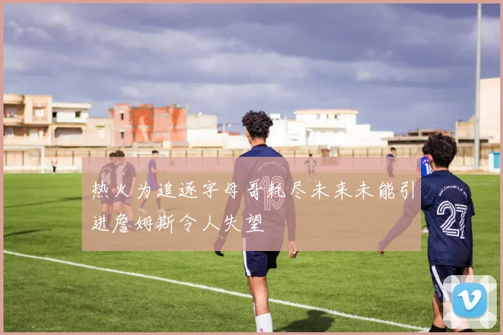 热火为追逐字母哥耗尽未来未能引进詹姆斯令人失望